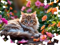 Rudy, Kwiaty, Grafika AI, Kot