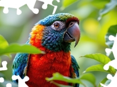 Kolorowa, Liście, Grafika AI, Papuga