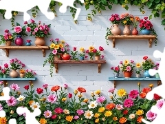 Półki, Murowana, Kwiaty, Doniczki, Kolorowe, Ściana
