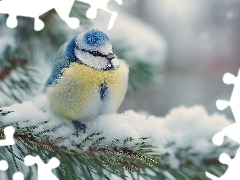 Śnieg, Grafika AI, Modraszka, Gałązki, Sikorka