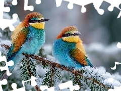 Gałązka, Grafika AI, Żołny, Ośnieżona, Dwie