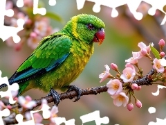 Gałązka, Grafika AI, Papuga, Kwiaty, Zielona