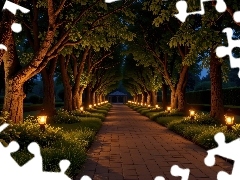 Latarnie, Noc, Park, Drzewa