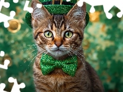 Cylinder, AI, Zielona, Muszka, Kot