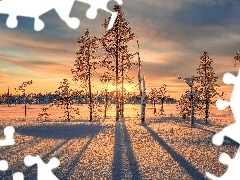 Śnieg, Drzewa, Zachód słońca, Zima