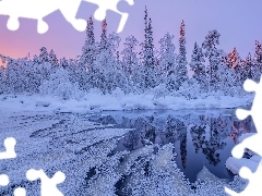 Oblodzona, Zima, Ośnieżone, Zaspy, Drzewa, Rzeka