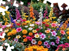 Ogród, Rabatka, Kolorowe, Kwiaty, Różne