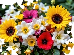 Narcyzy, Bukiet, Słoneczniki, Maki, Kwiaty