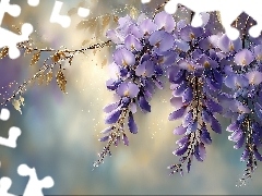 Glicynia, Kwiaty, Grafika AI, Fioletowe