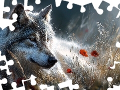 Wilk, Maki, Grafika AI, Trawy