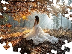 Biała, Kobieta, Suknia, Las, Liście, Słoneczny blask, Drzewo, Gałęzie, Jesień