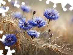 Kwiaty, Chabry, Kłosy, Grafika AI, Zboże, Niebieskie