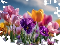 Tulipany, Kwiaty, Grafika AI, Bratki