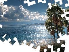 Trawy, Ocean, Chmury, Morze, Palmy, Niebo, Grafika AI