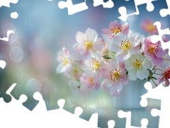 Dzikie róże, Bokeh, Grafika AI, Bukiet