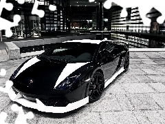 Białe, Lamborghini Gallardo, Czarno