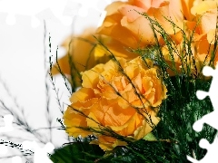 Żółtych, Kwiatów, Bukiet