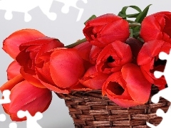 Czerwone, Tulipany, Kosz
