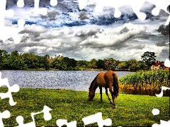 Jezioro, Chmury, Koń