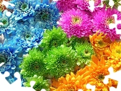 Kolory, Kwiatków, Różne