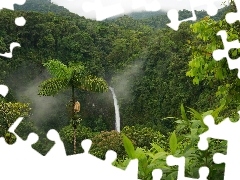 Wodospad, Dżungla