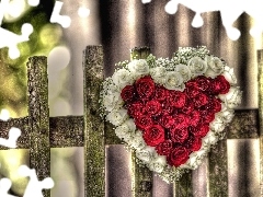 Walentynki, Ogrodzenie, Serce Z, Róż