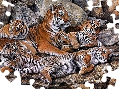 Tygrysów, Kamienie, Rodzina