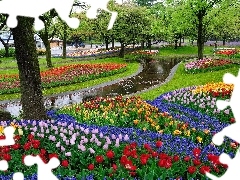 Tulipany, Rzeczka, Park, Drzewa
