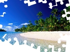 Plaża, Palmy, Wyspy Cooka
