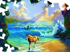 Morze, Plaża, Koń
