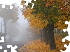 Mgła, Drzewa, Jesień, Droga