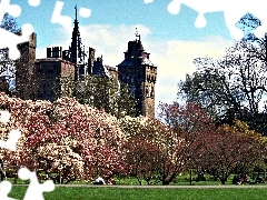 Kwitnące, Walia, Park, Zamek, Drzewa, Cardiff