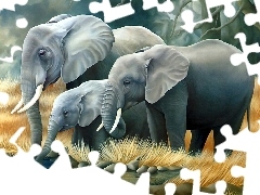 Wodopój, Słonie