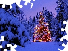 Zima, Boże Narodzenie, Choinka, Las