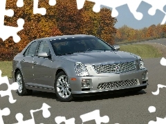 Cadillac STS, Srebrny