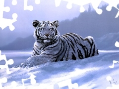 Obraz, Tygrys, Zima, Biały