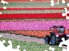 Kwiatów, Traktor, Pole