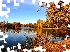 Jesień, Liście, Rzeka, Drzewa