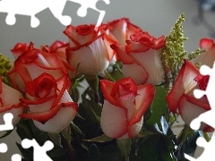Czerwone, Róże, Biało