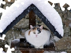 Śnieg, Daszek, Kot, Zima