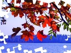 Liście, Jesień, Jezioro