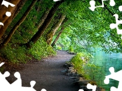 Ścieżka, Drzewa, Park Narowodwy Plitwickie, Woda